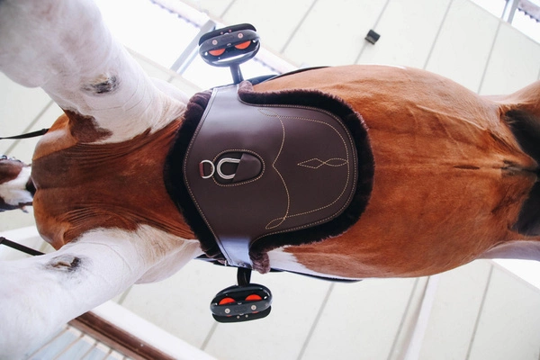 Kentucky wymienne futro do popręgu z fartuchem - brązowe