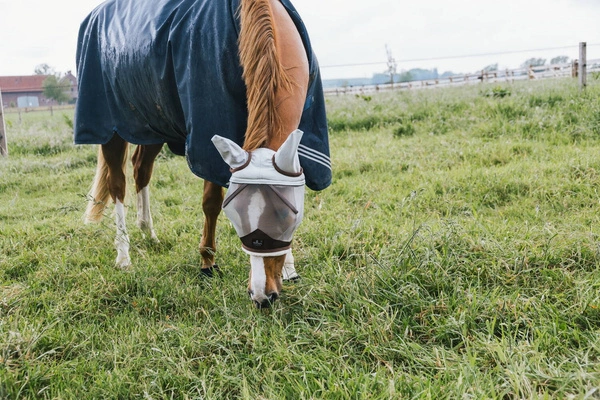 Kentucky maska na owady Skin Friendly - z uszami szara