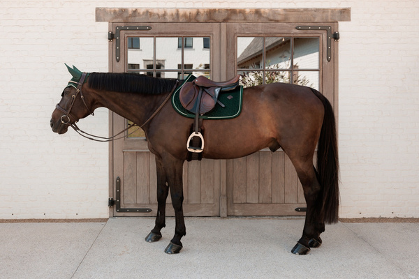 Kentucky czaprak Velvet - pine green