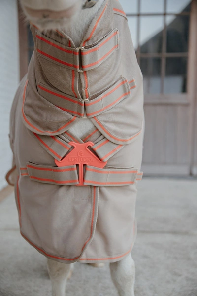 Derka Kentucky Mesh Fly Rug Comfort