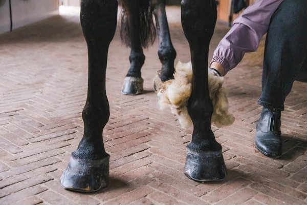 Wełna terapeutyczna - gruda i problemy skórne