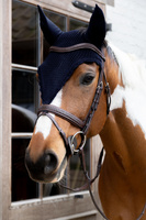 Długie nauszniki Kentucky Fly Veil Long - granatowe