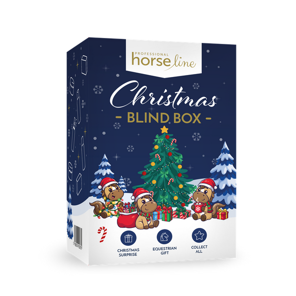 Christmas Blind Box
