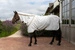 Derka Kentucky Sweet Itch Fly & Summer Sheet Comfort