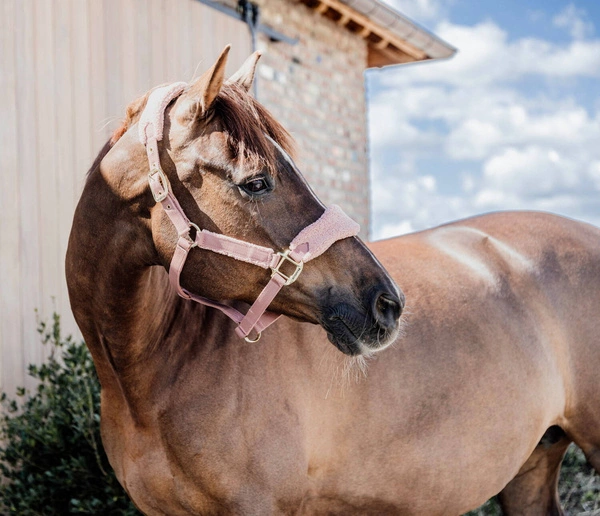 Kentucky kantar Teddy Fleece podszyty puchatym polarem - old rose