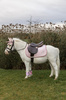 Kentucky nauszniki Wellington Unicorn Glitter - różowe