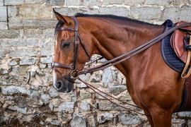 Dy'on wodza pomocnicza D Collection 5/8