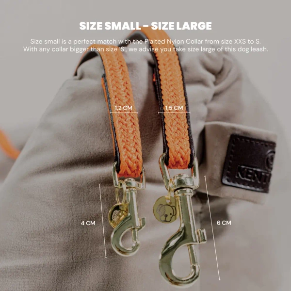 Pleciona smycz Kentucky Nylon 1,2m - beżowa