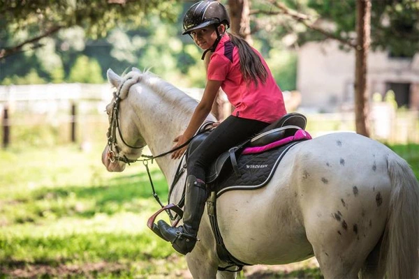 Czaprak Winderen Raven/Silver