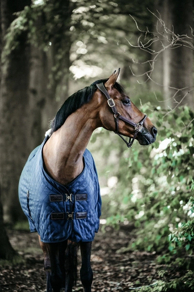Kentucky derka stajenna bez wypełnienia - granatowa