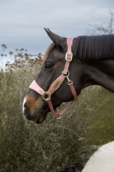  Kentucky kantar anatomiczny Velvet Unicorn Glitter - pudrowy róż