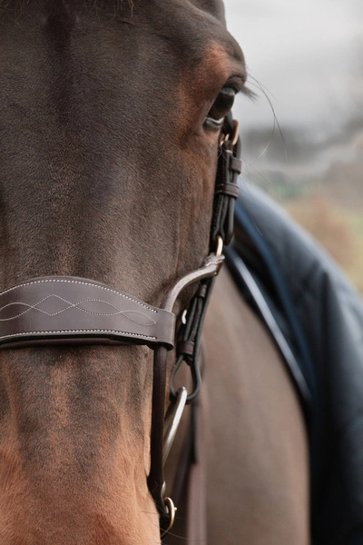 Nachrapnik Dy'on Hybrid D Collection