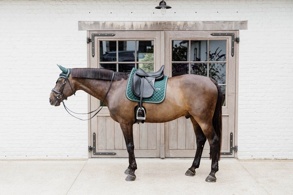 Kentucky czaprak Diamond Rope - ciemnozielony