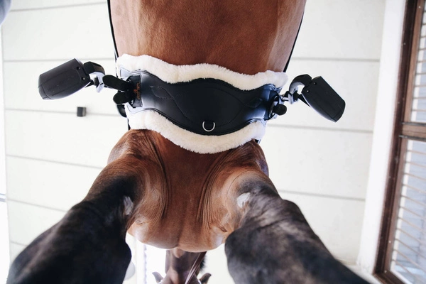 Kentucky anatomiczny ujeżdżeniowy popręg z futrem - czarny