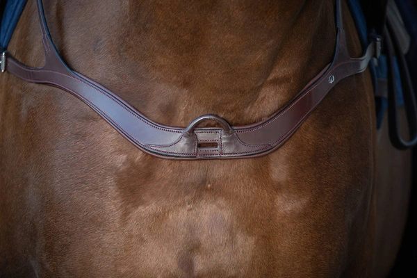 Anatomiczny skórzany napierśnik Dy'on New English - brązowy