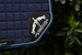 Veredus czaprak skokowy Saddlecloth Microfiber Jumping S1 - granatowy