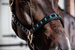 Kentucky kantar Pearls - czarny
