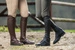 Czapsy Classic Half Chaps Dy'on - czarne