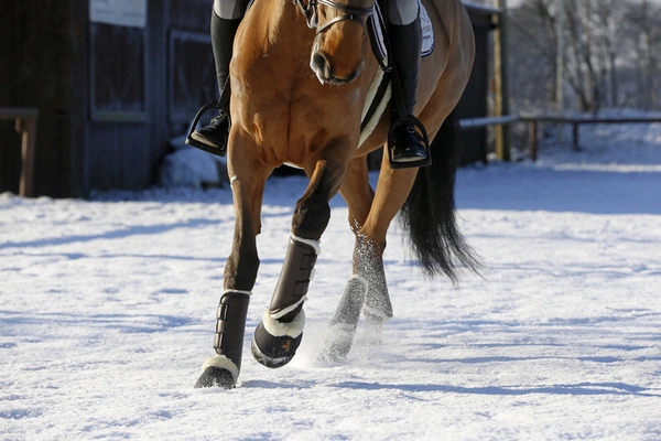 Kentucky skórzane ochraniacze Turnout - brązowe