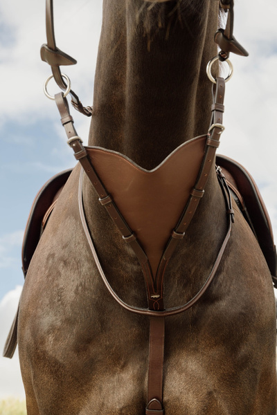 Miękki wytok Soft leather BIB Martingale Dy'on New English