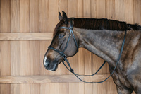 Ogłowie Dy'on bezwędzidłowe Working - czarne