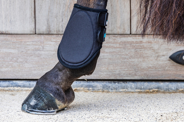 Kentucky ochraniacze na tył Eventing Boots 3D Air Flow Skin Friend Short - czarne