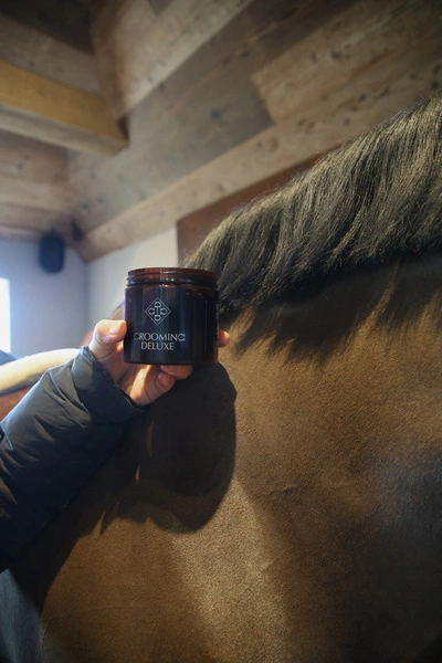 Gumki do grzywy przezroczyste 1500 szt. - Kentucky Grooming Deluxe