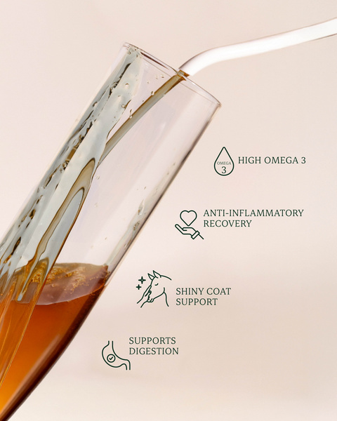 Olej lniany 5 L - Kentucky Grooming Deluxe