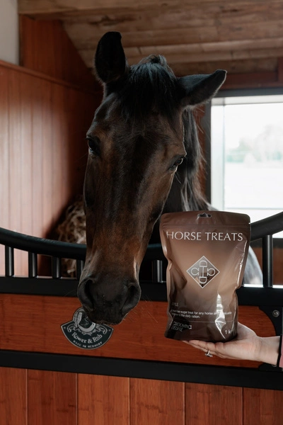 Kentucky - Jabłkowe cukierki dla konia 1kg