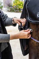 Kentucky derka padokowa Turnout All Weather Waterproof Comfort 100g - czarna