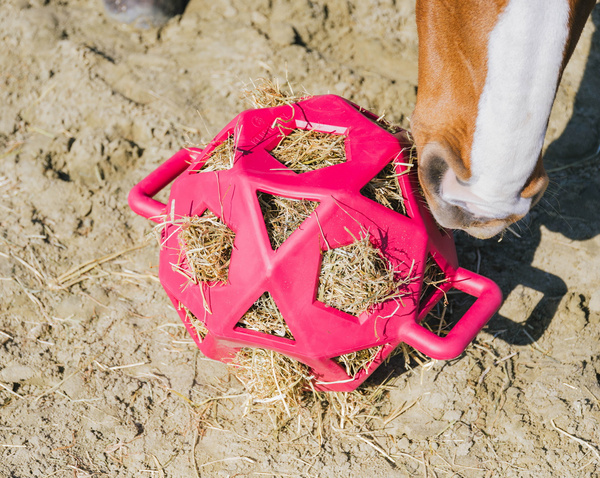 Kentucky elastyczna piłka na siano Relax Horse Play & Hay Ball - ciemny róż