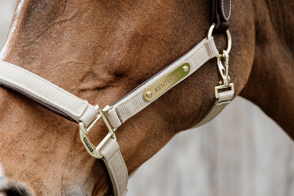 Kentucky kantar Nylon Anatomic - beżowy