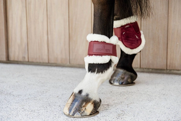 Kentucky Ochraniacze Vegan Sheepskin Young Horse Fetlock Velvet na zadnie nogi - bordowe