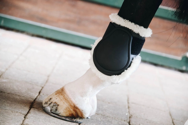 Kentucky ochraniacze Sheepskin Young Horse - czarne