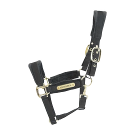 Kentucky kantar anatomiczny Velvet - czarny