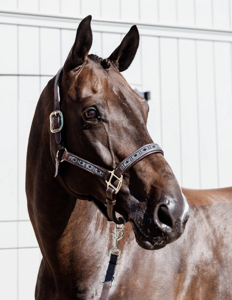 Kentucky kantar Pearls - srebrny