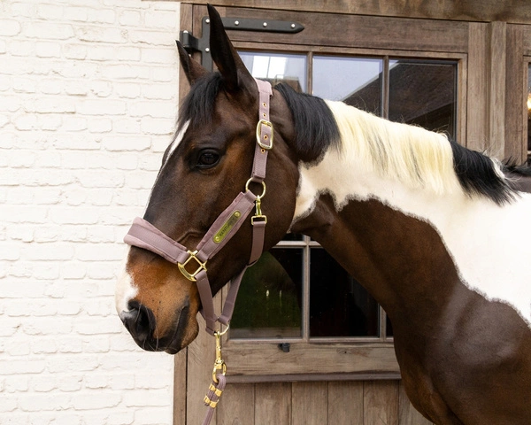 Kentucky kantar anatomiczny Velvet - jasny fioletowy