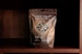 Kentucky Horse Treats Grain Free - cukierki dla konia 1 kg ziołowe