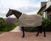 Derka Kentucky Fly Rug with Belly Cover Comfort