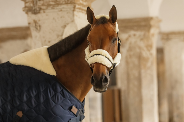 Kentucky derka stajenna Comfort 300g - granatowa