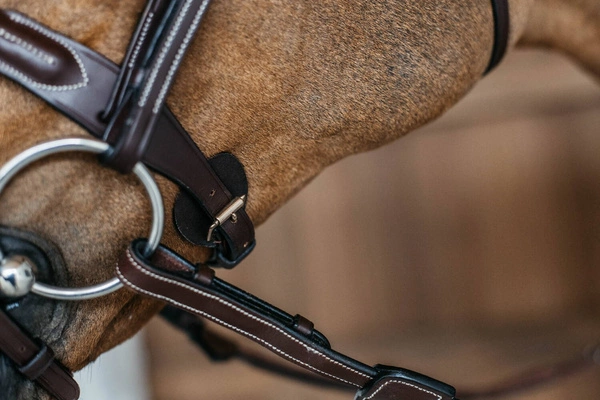 Ogłowie Dy'on z plecionym naczółkiem nachrapnikiem angielskim D Collection