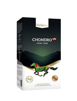 HorseLinePRO Chondro+HA 2000ml wzbogacony kwasem hialuronowym