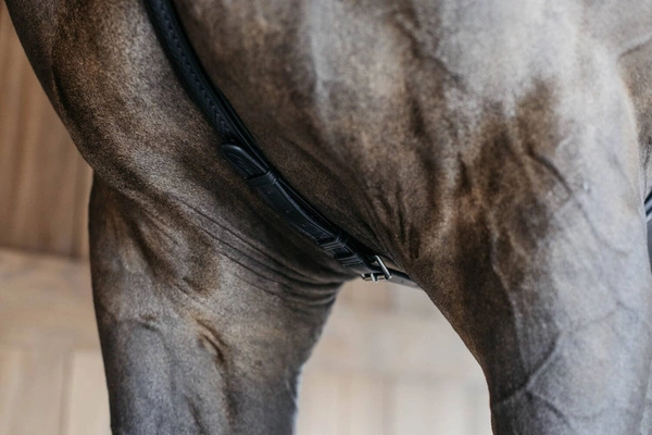 Skórzano-elastyczny napierśnik z plecionką Dy'on Bridge Breastplate New English