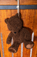 Kentucky zabawka do boksu Bear - brązowy