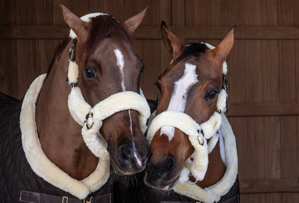 Kentucky kantar obszyty futrem - naturalny