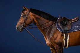 Dy'on wodza pomocnicza US Jumping 1/2