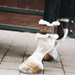 Kentucky ochraniacze Sheepskin Young Horse - brązowe