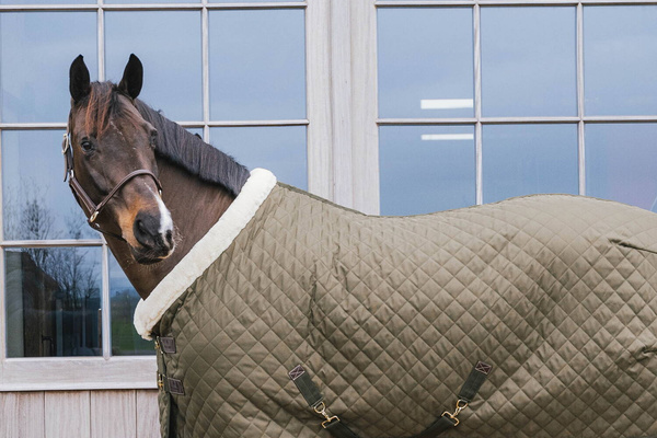 Kentucky derka stajenna 160g - khaki