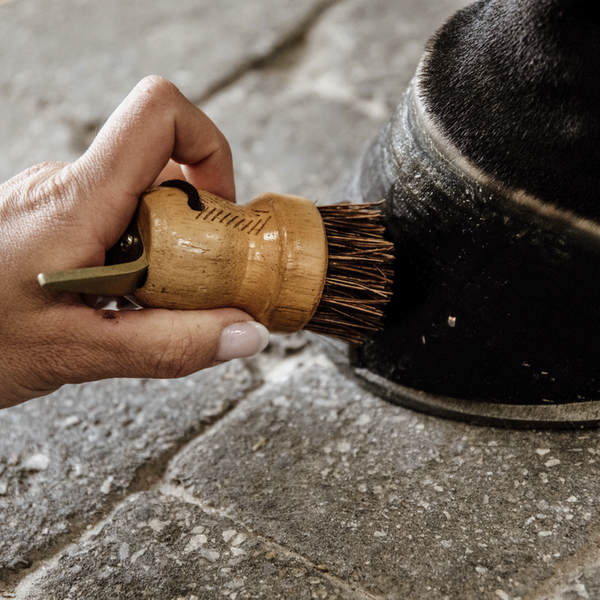 Mała kopystka- Kentucky Grooming Deluxe