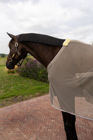Derka Kentucky Fly Rug with Belly Cover Comfort